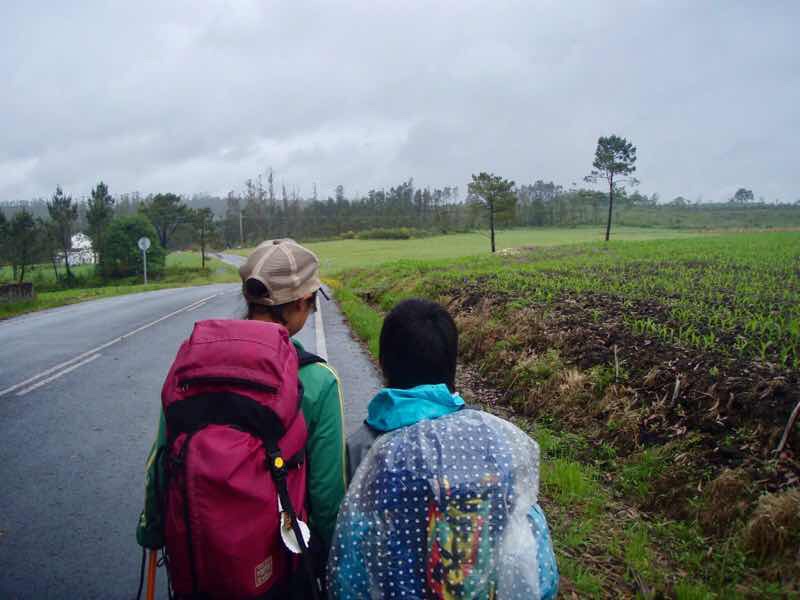 608サンティアゴ巡礼　道雨　右畑12 カミーノ　アス・マロナス