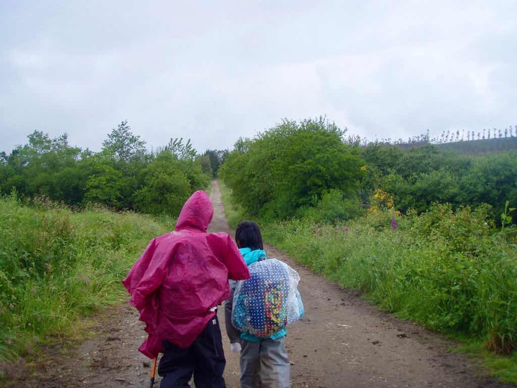 608サンティアゴ巡礼　道雨まっすぐ見える　12 カミーノ　アス・マロナス