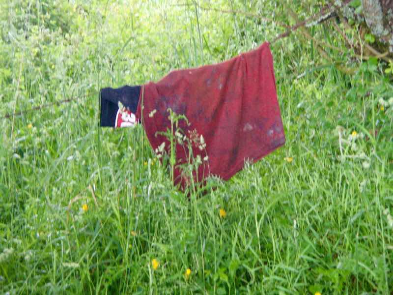 608サンティアゴ巡礼　道シャツ カミーノ　アス・マロナス