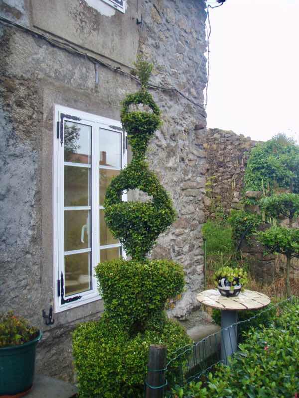 608サンティアゴ巡礼 道 植木 カミーノ アス・マロナス