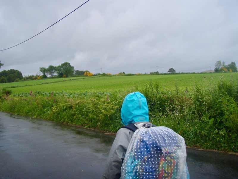 608サンティアゴ巡礼　道雨　草　2 カミーノ　アス・マロナス