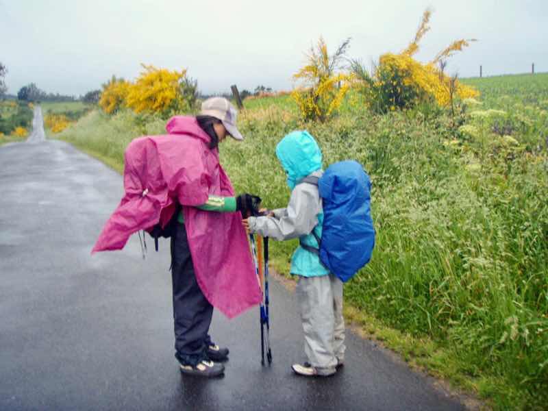 609 サンティアゴ巡礼　杖12 カミーノ　セー