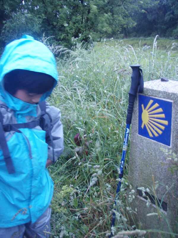 609 サンティアゴ巡礼　道標　杖2下向き　カミーノ　セー