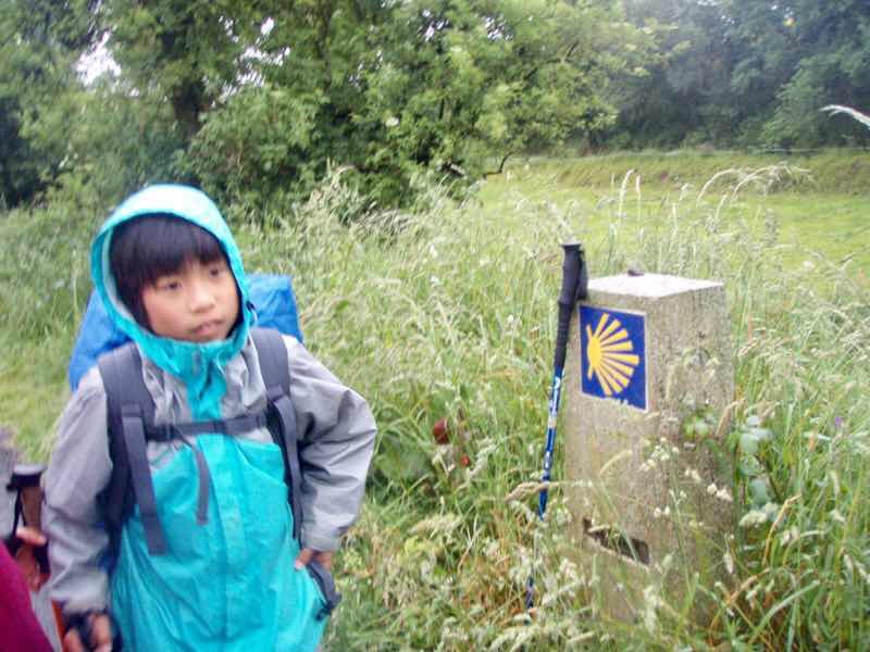 609 サンティアゴ巡礼　道標　杖2　カミーノ　セー