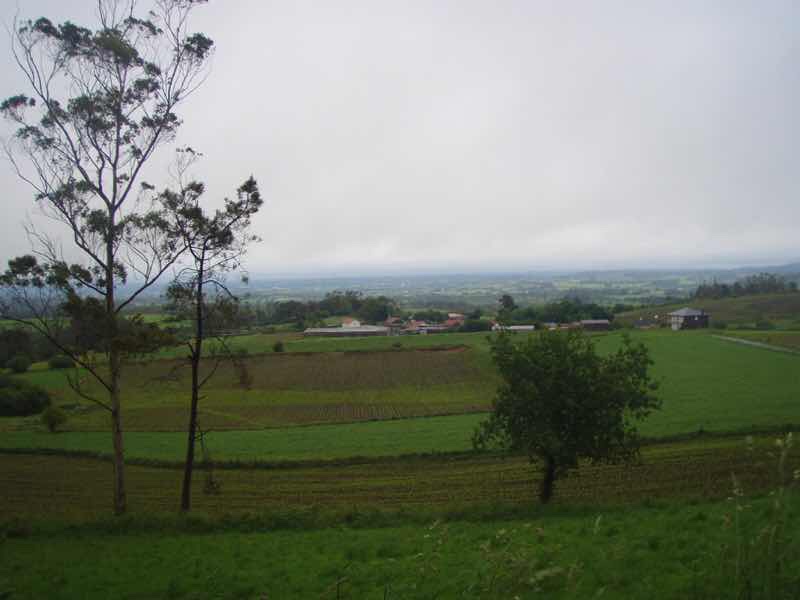 609 サンティアゴ巡礼　草原の　景色 カミーノ　セー