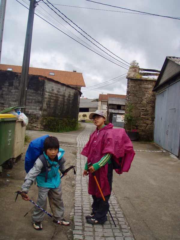 609 サンティアゴ巡礼　石畳1 2　カミーノ　セー