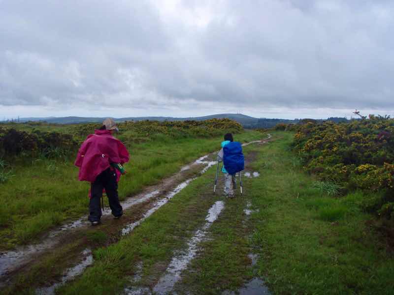 609 サンティアゴ巡礼　田舎牧場道1 2雨道　カミーノ　セー