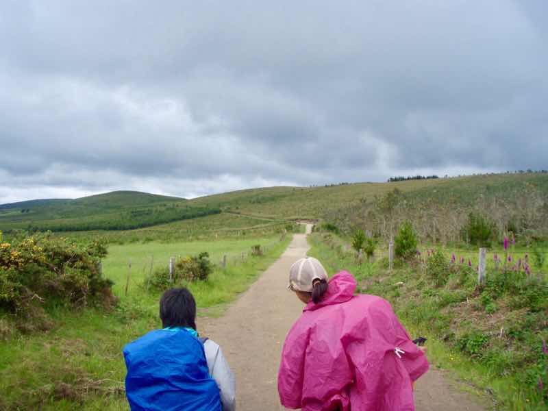609 サンティアゴ巡礼　田舎一本道12 空雲り　カミーノ　セー