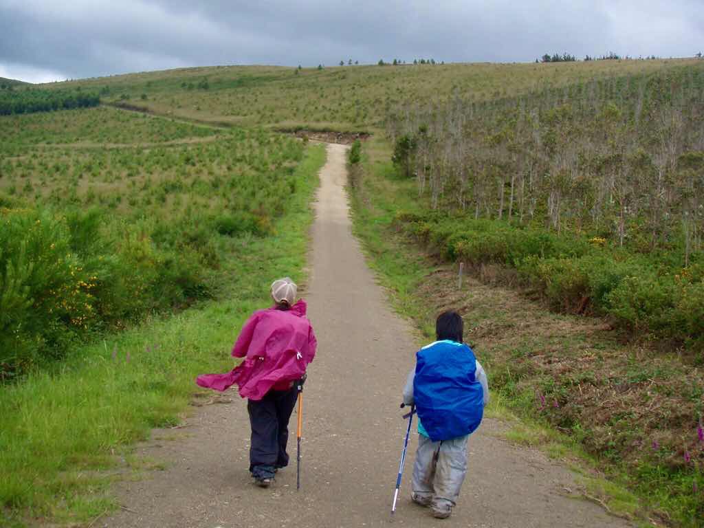 609 サンティアゴ巡礼　田舎一本道12　カミーノ　セー