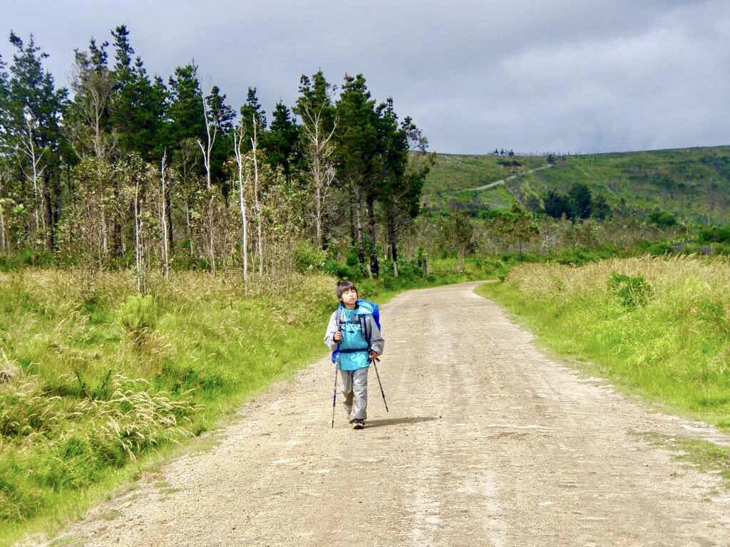 609 サンティアゴ巡礼　田舎道 2正面　カミーノ　セー