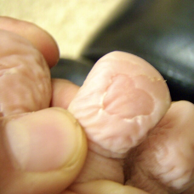 609 サンティアゴ巡礼　足ハート消防署　カミーノ　セー