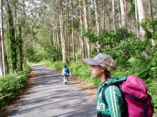 613ムシア　サンティアゴ巡礼　最終地Muxia ムシア　田舎道1横　2杉並木一本道