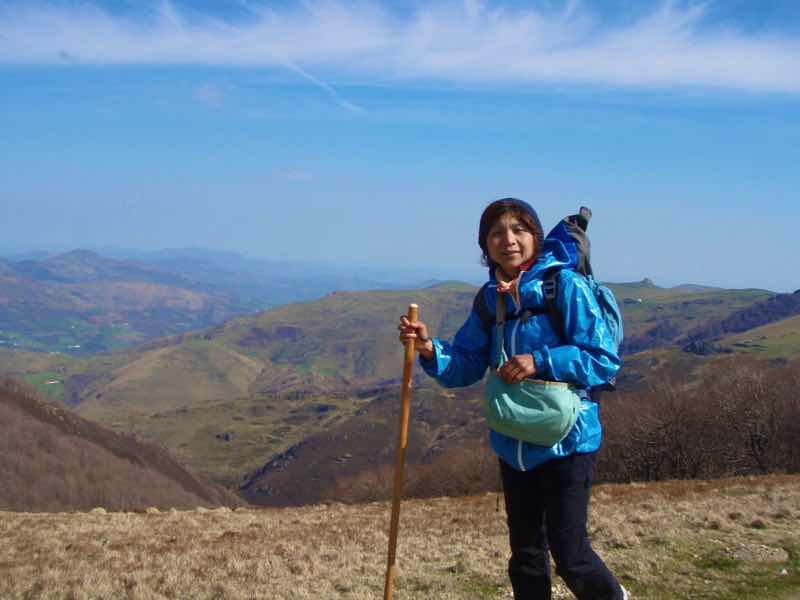 611 サンティアゴ巡礼　ピレネー杖3