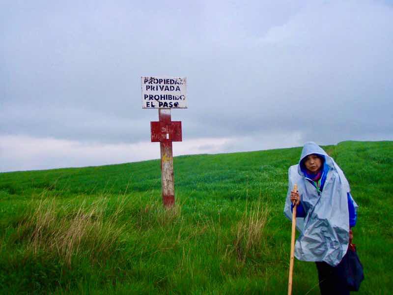 611サンティアゴ巡礼　雨3