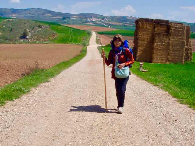 611カミーノ 杖　3 道　干しワラ