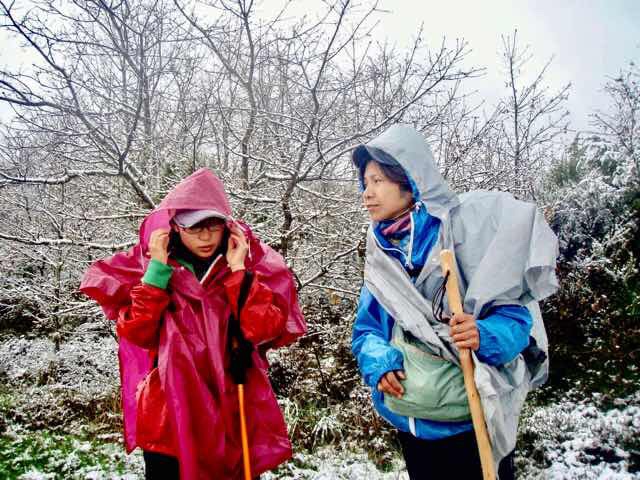 611サンティアゴ巡礼　雪13杖