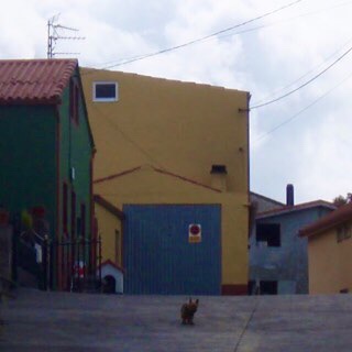 610スペイン巡礼 右緑 12犬 カミーノ フィステラ