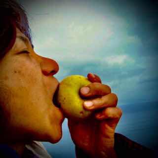 611 サンティアゴ巡礼　フィステラ　海リンゴ　カミーノ