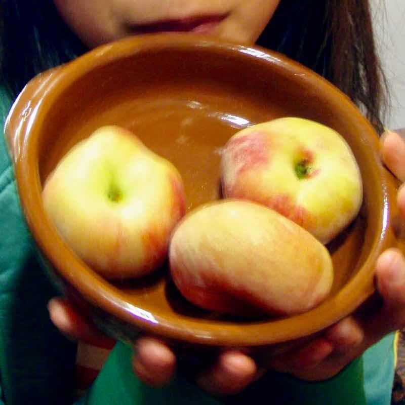 611 サンティアゴ巡礼　フィステラ　アルベルゲ　桃　カミーノ