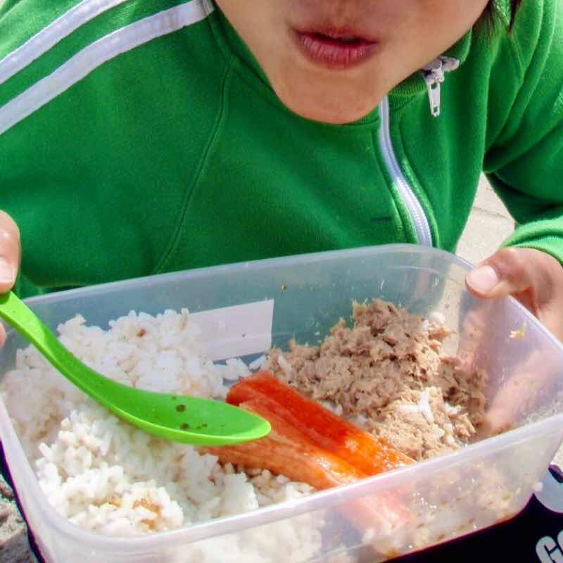 612 fisterra サンティアゴ巡礼 大西洋 ツナご飯