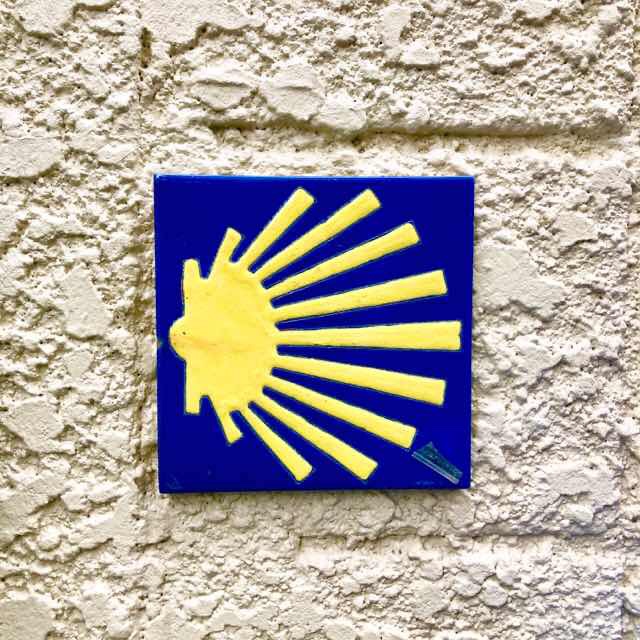 611サンティアゴ巡礼　ホタテタイル　