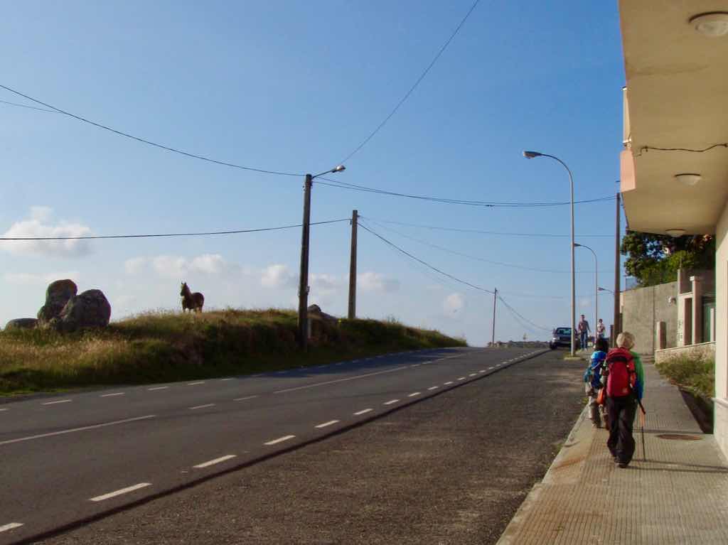 613ムシア　サンティアゴ巡礼　最終地Muxia　馬12