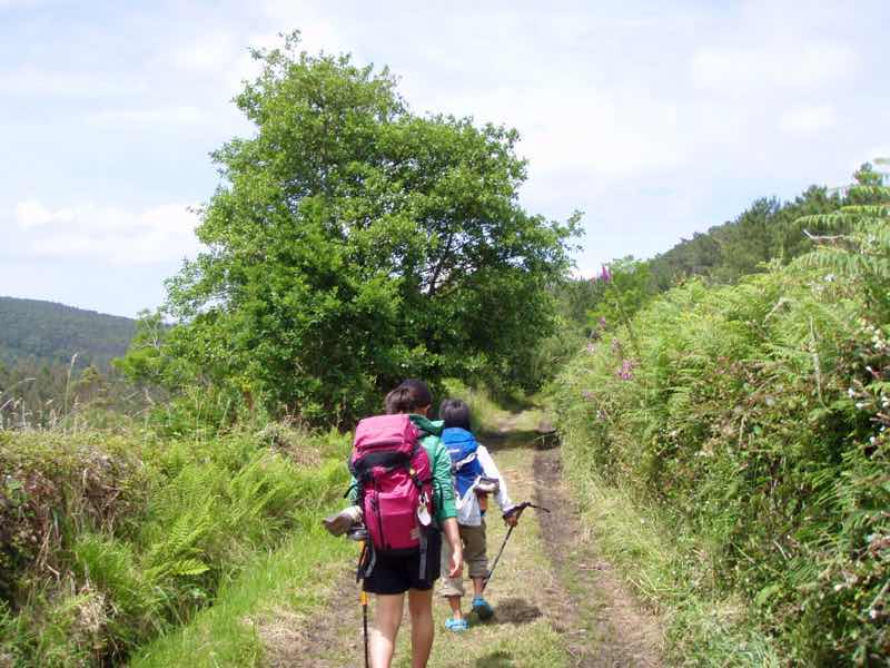 613ムシア　サンティアゴ巡礼　最終地Muxia ムシア　草はら田舎道12　