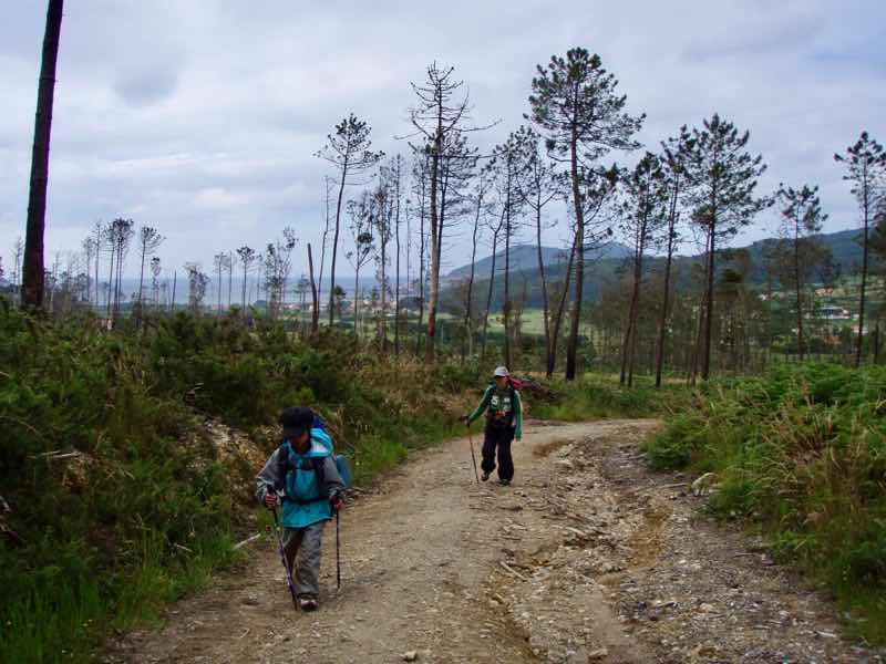 613ムシア　サンティアゴ巡礼　最終地Muxia フィステラ杉道は　12正面
