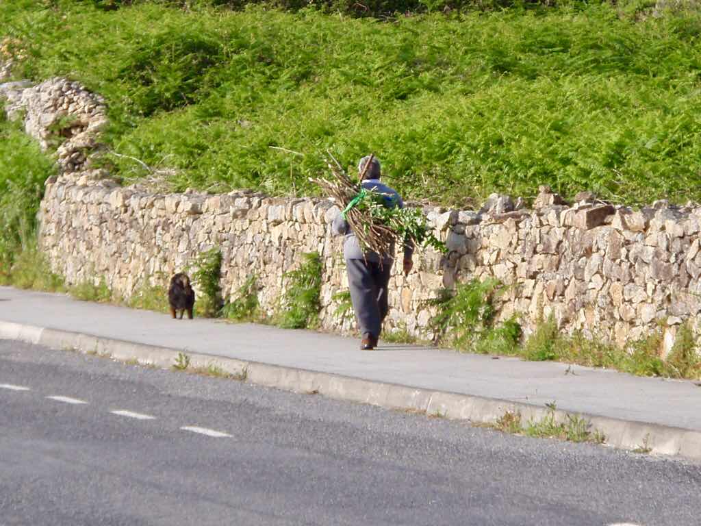 613ムシア　サンティアゴ巡礼　最終地Muxia　犬おじいちゃん