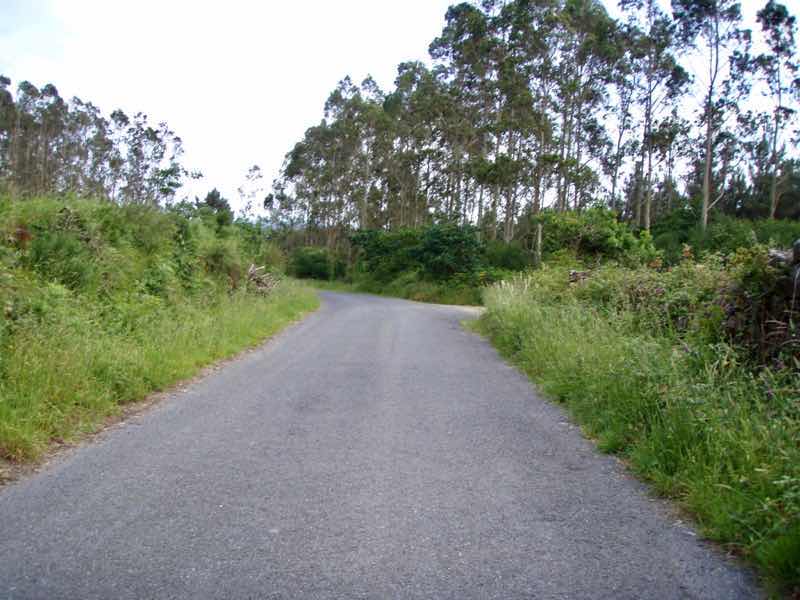 613ムシア　サンティアゴ巡礼　最終地Muxia ムシア　道アスファルト景色