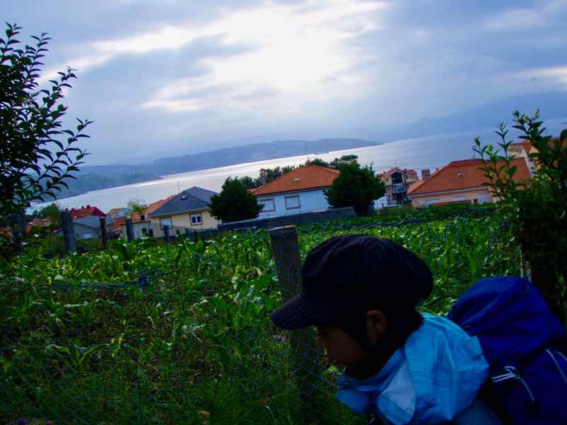 613ムシア　サンティアゴ巡礼　最終地Muxia フィステラ海　2