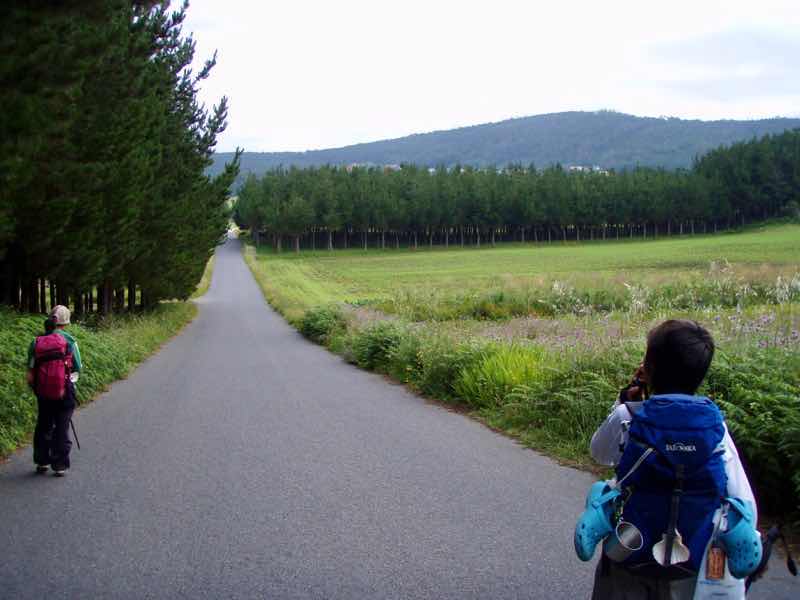 613ムシア　サンティアゴ巡礼　最終地Muxia フィステラ道路　12後ろ姿
