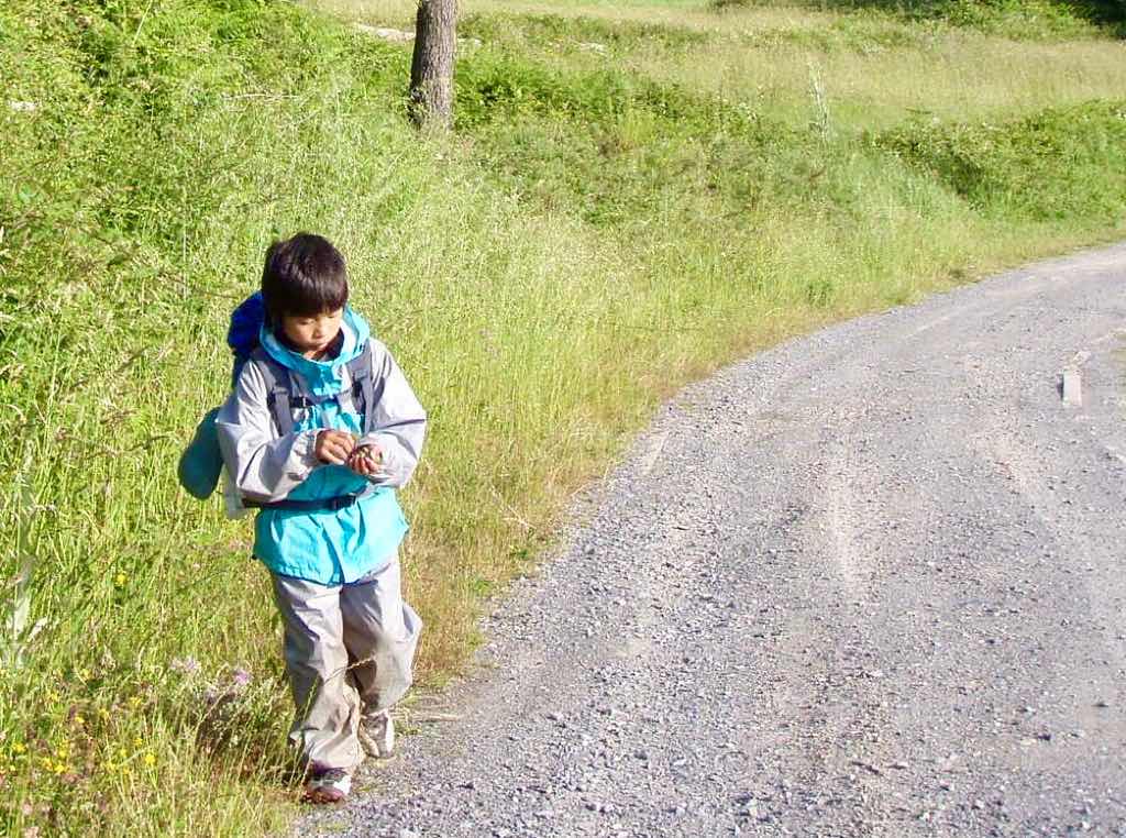 613ムシア　サンティアゴ巡礼　最終地Muxia3　田舎道