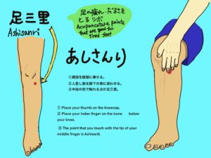 足三里 Ashisanri つぼイラスト
