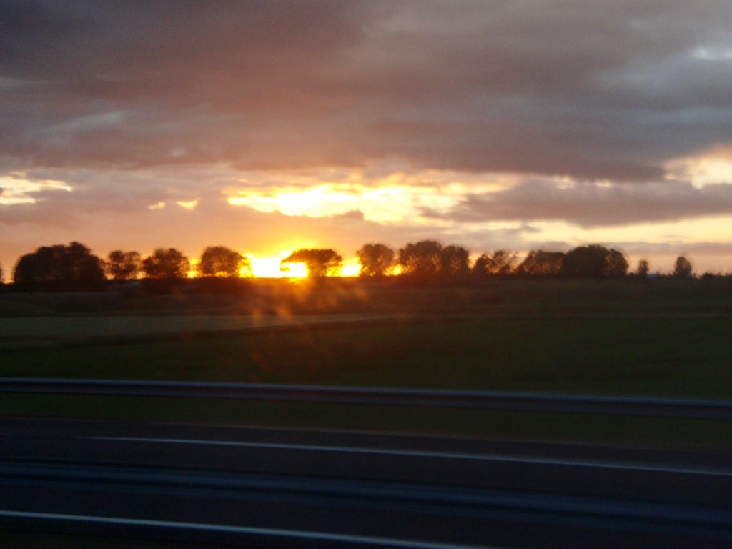 615 バス バルセロナ移動 夕焼け木々