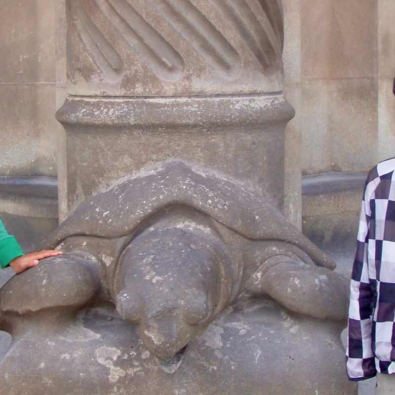 616サグラダファミリア　亀