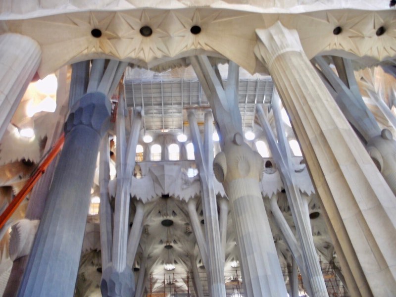616サグラダファミリア　天井　柱見上げる