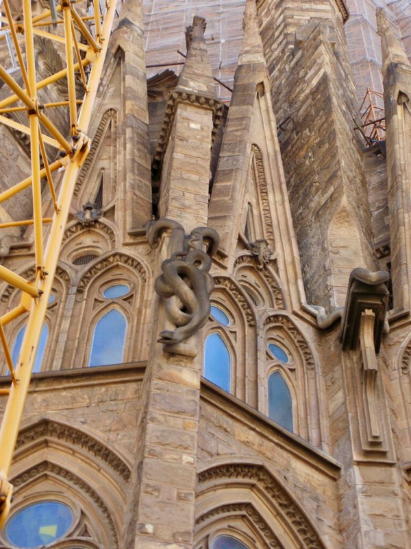 616サグラダファミリア　蛇