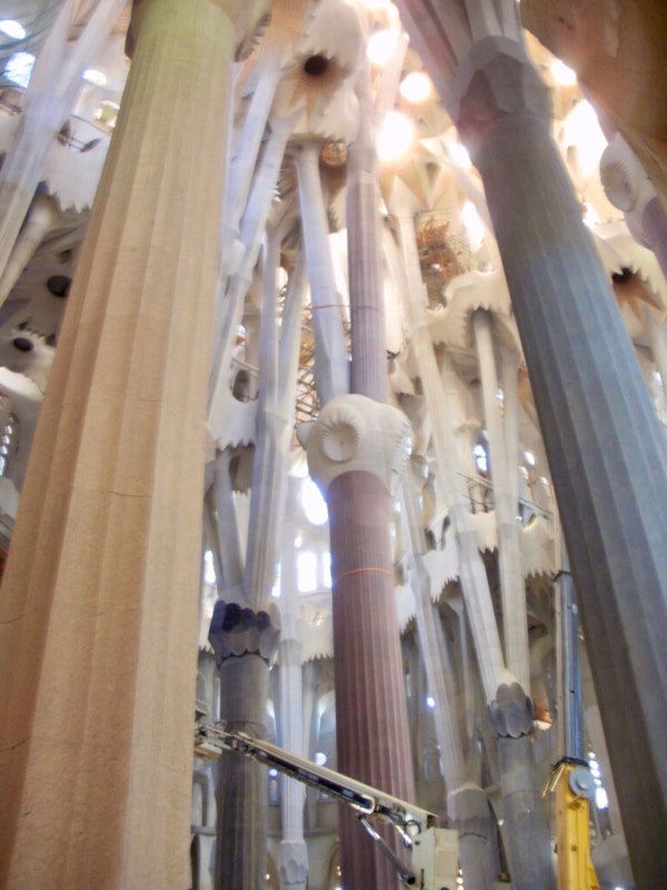 616サグラダファミリア　天井　柱見上げるアップ