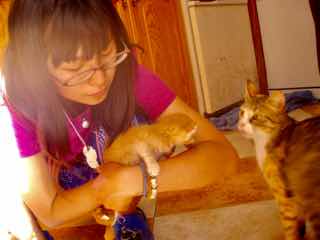 519メノルカ島　h家　ねこ1