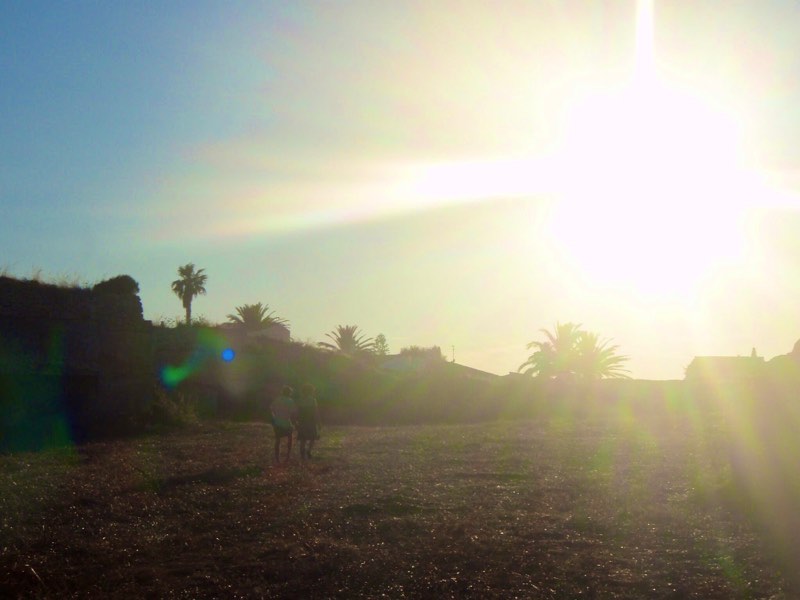 618メノルカ島　野原夕焼けEH Menorca
