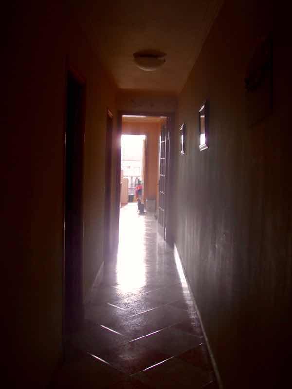 519メノルカ島　h家　ねこ授乳2