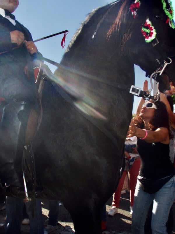 623メノルカ島 サン•フアン 馬祭り Menorca 馬　胸触る