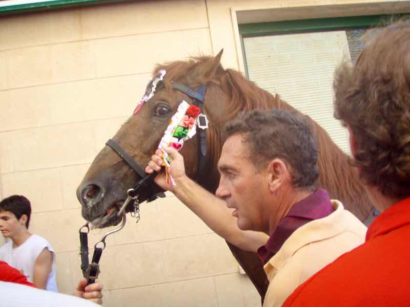623メノルカ島 サン•フアン 馬祭り Menorca 茶馬首引く