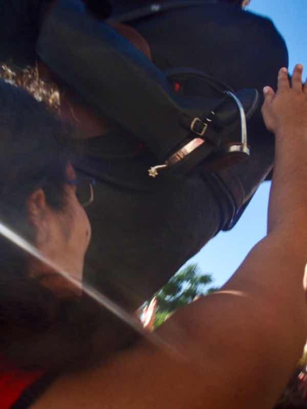 623メノルカ島 サン•フアン 馬祭り Menorca 馬pw触るアップ