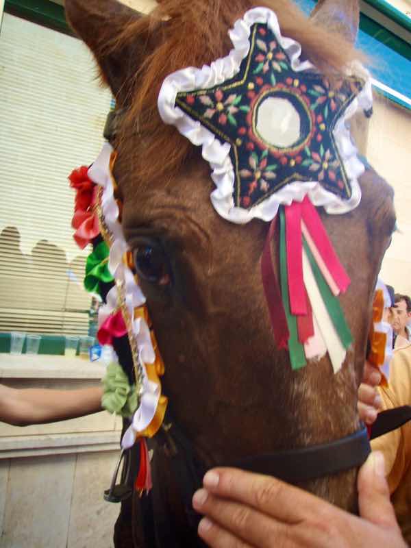 623メノルカ島 サン•フアン 馬祭り Menorca 茶馬首