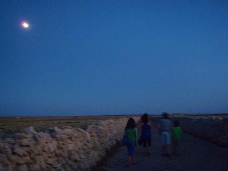 623メノルカ島 Menorca プンタナティ　道オール