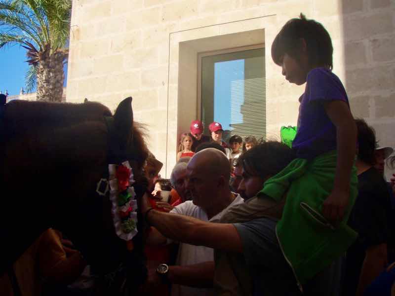 623メノルカ島 サン•フアン 馬祭り Menorca 黒馬j2