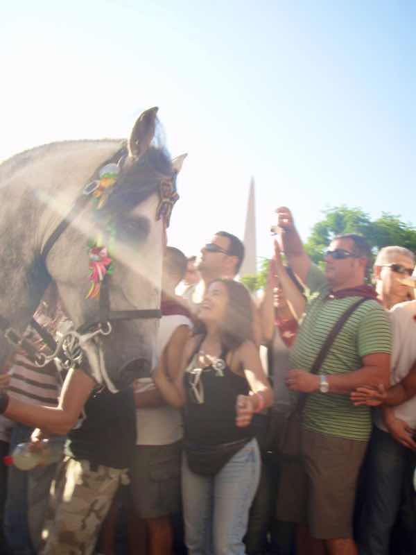 623メノルカ島 サン•フアン 馬祭り Menorca 白馬と群衆