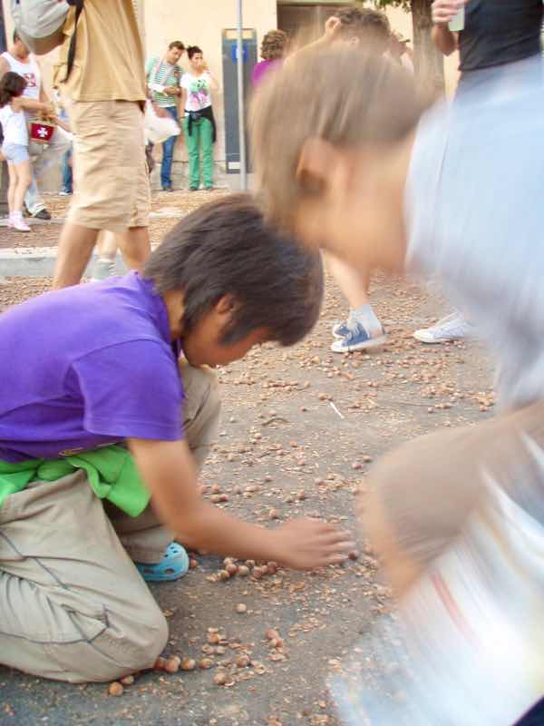 623メノルカ島 サン•フアン 馬祭り Menorca シウタデラ　ヘーゼルナッツ投げ2拾う